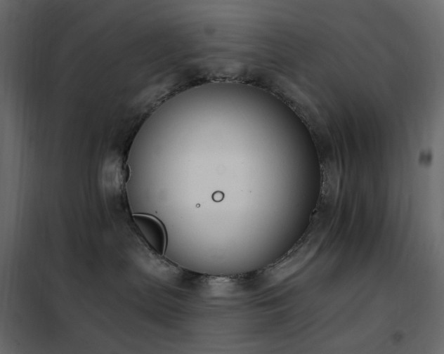 X0000102530287200808081459