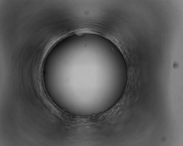 X0000102530289200808081458