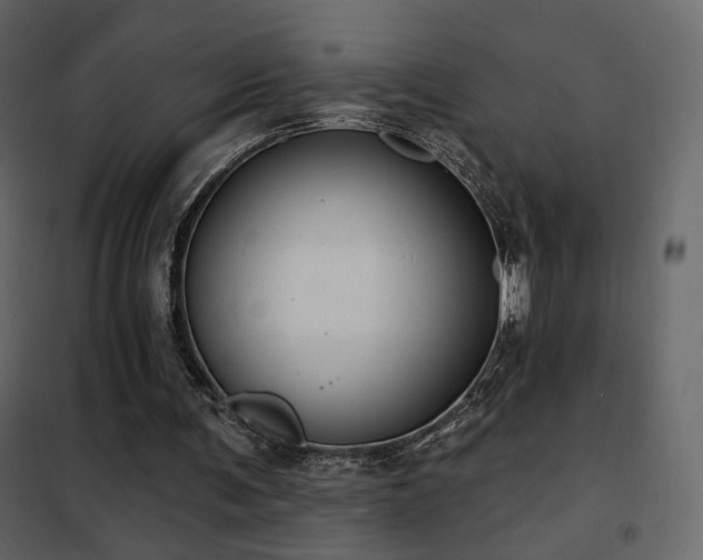 X0000102530291200808081458