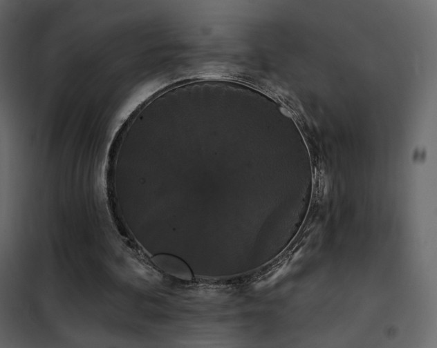 X0000102530292200808081458