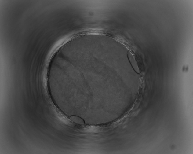 X0000102530293200808081458