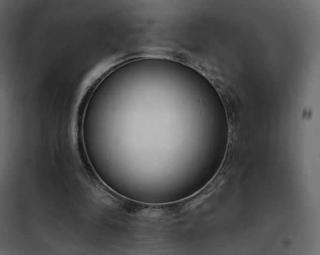 X0000102530294200808081458
