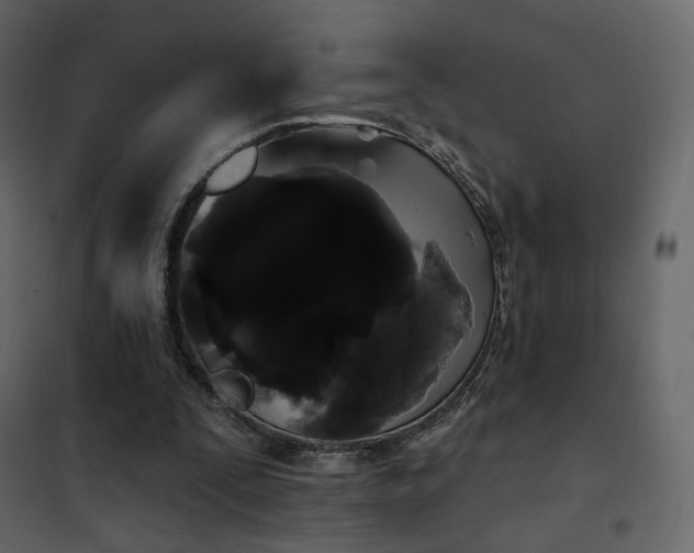 X0000102530295200808081458