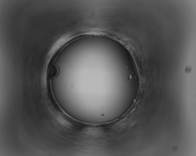 X0000102530296200808081458