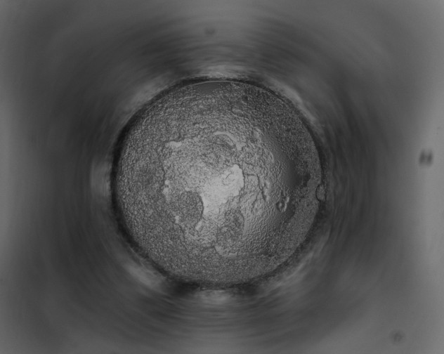 X0000102530299200808081458