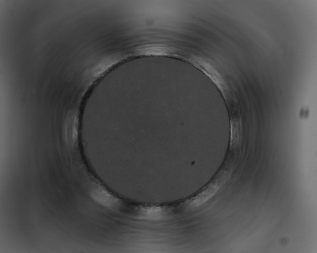 X0000102530301200808081458