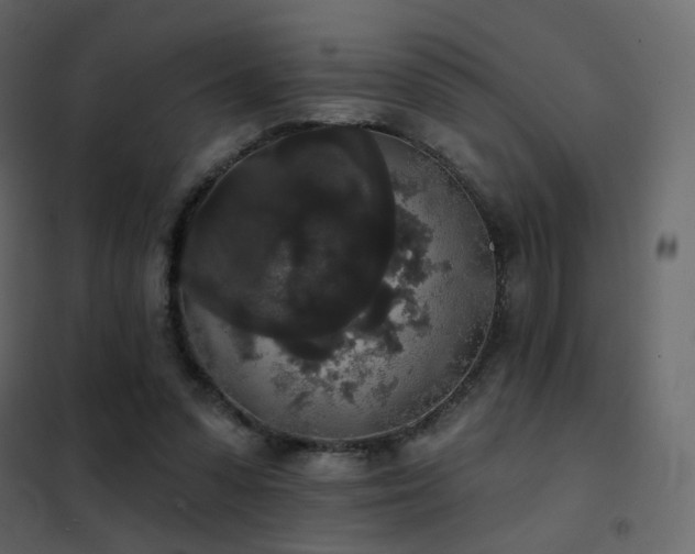 X0000102530303200808081458