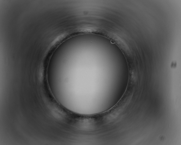X0000102530304200808081458