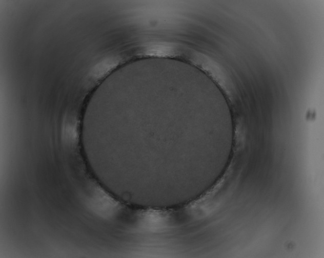 X0000102530305200808081458
