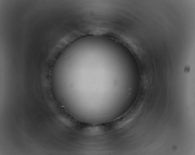 X0000102530307200808081458