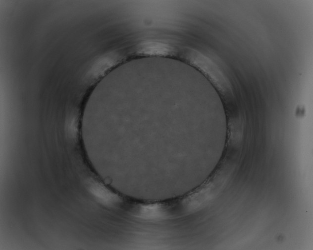 X0000102530309200808081458