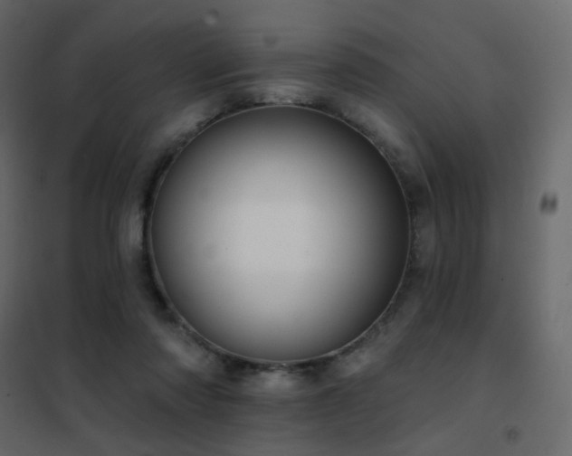X0000102530310200808081458