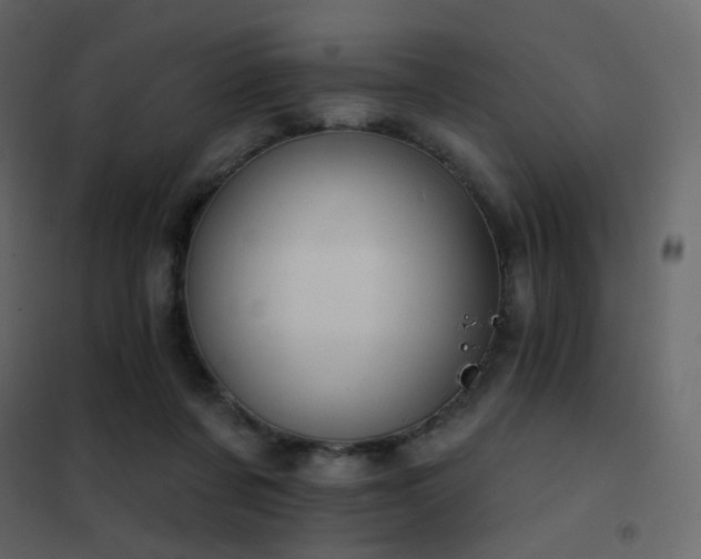 X0000102530311200808081458