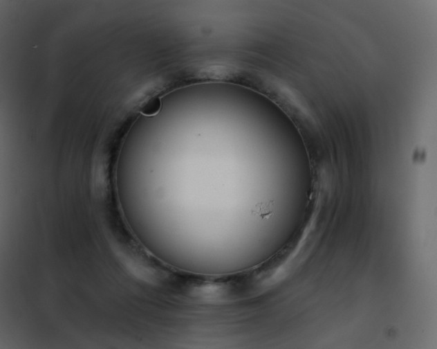 X0000102530312200808081458