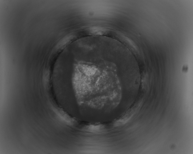 X0000102530314200808081458