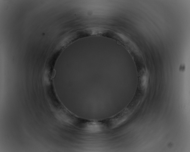 X0000102530316200808081458