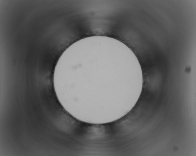 X0000102530317200808081458