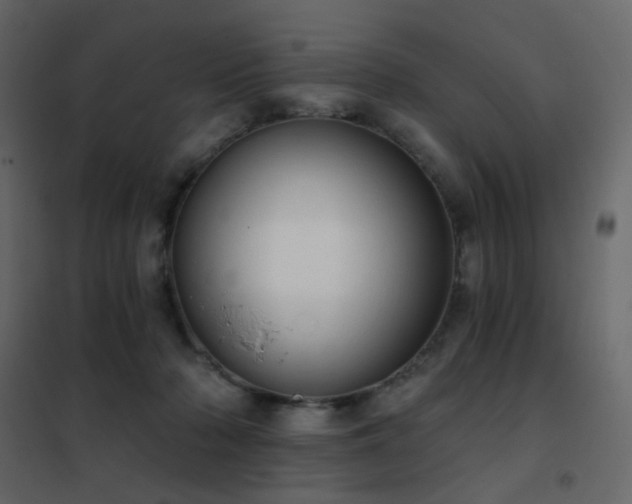 X0000102530318200808081458
