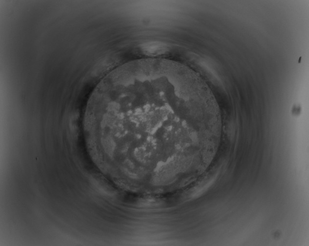 X0000102530319200808081458
