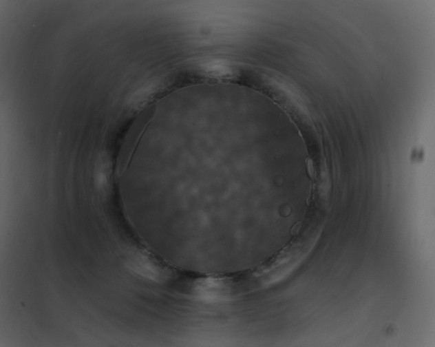 X0000102530320200808081458