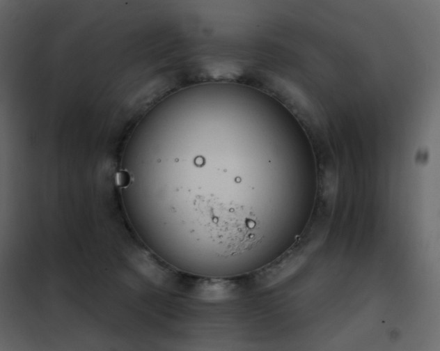 X0000102530321200808081458