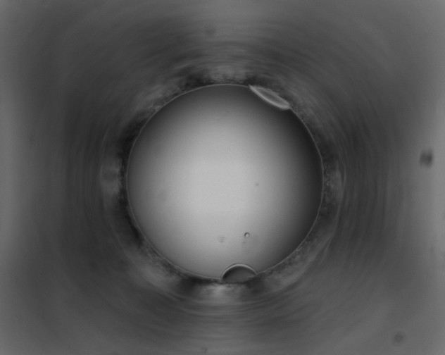 X0000102530323200808081458