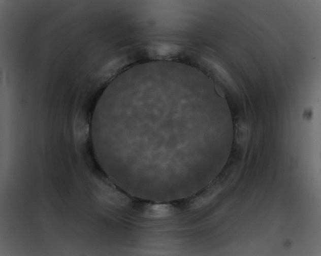 X0000102530324200808081458