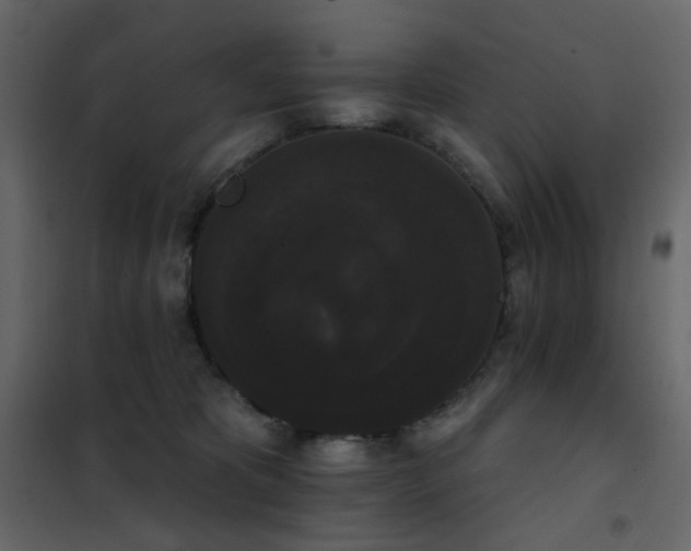 X0000102530325200808081458