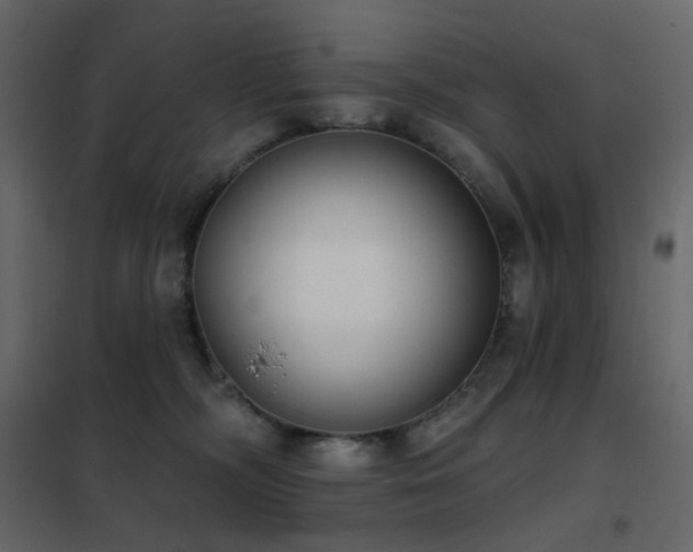 X0000102530326200808081458