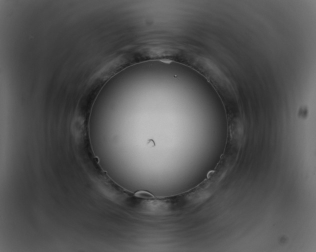X0000102530327200808081458