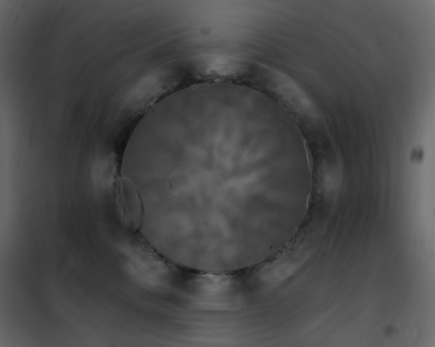 X0000102530328200808081458