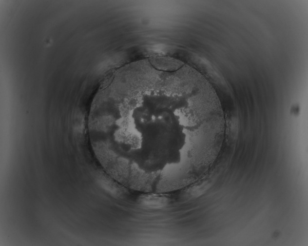 X0000102530331200808081458