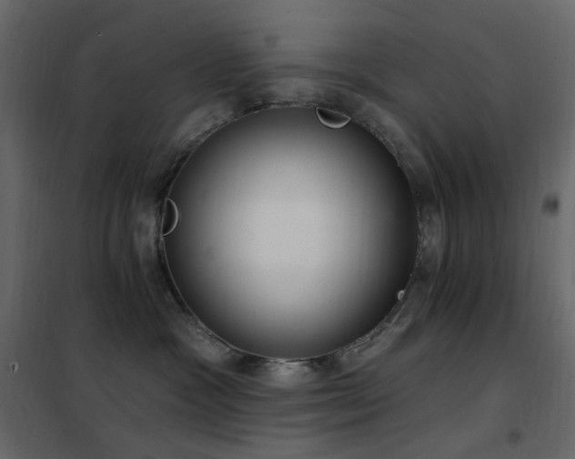 X0000102530333200808081458