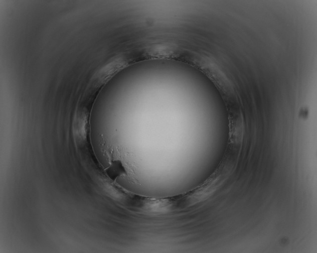 X0000102530334200808081458