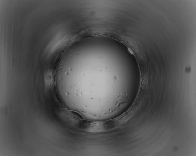 X0000102530335200808081458