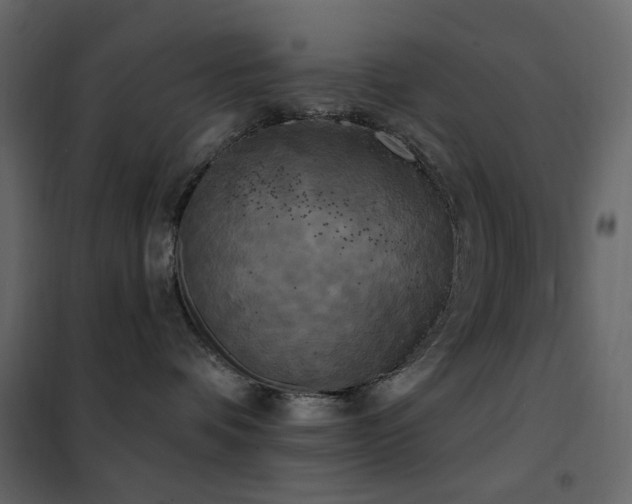 X0000102530336200808081458