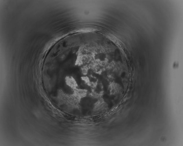 X0000102530337200808081457