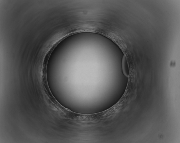 X0000102530338200808081457