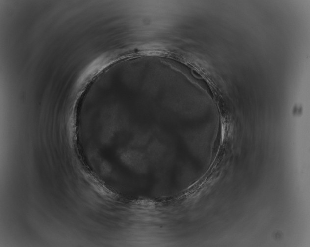 X0000102530339200808081457