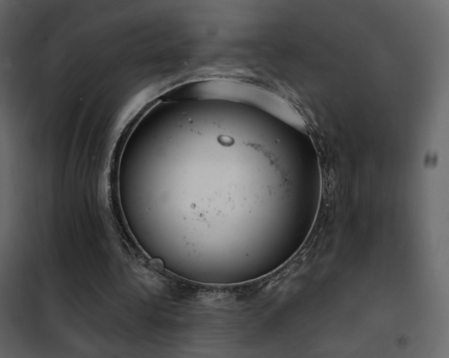 X0000102530340200808081457