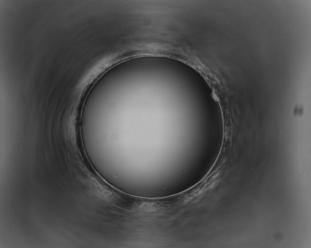 X0000102530341200808081457