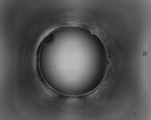 X0000102530342200808081457