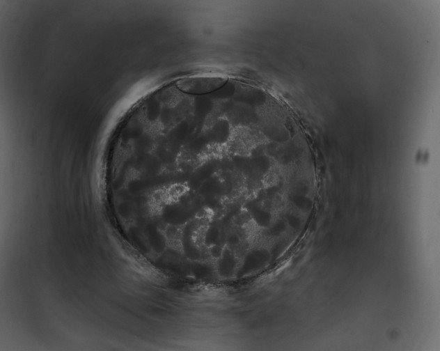 X0000102530343200808081457