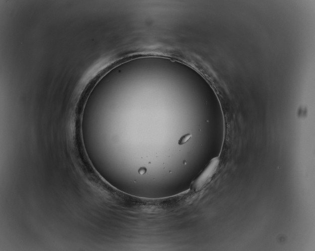 X0000102530344200808081457