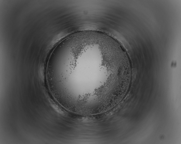 X0000102530345200808081457