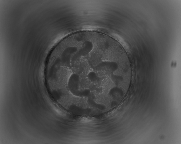 X0000102530346200808081457