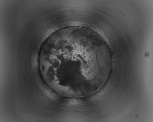 X0000102530347200808081457