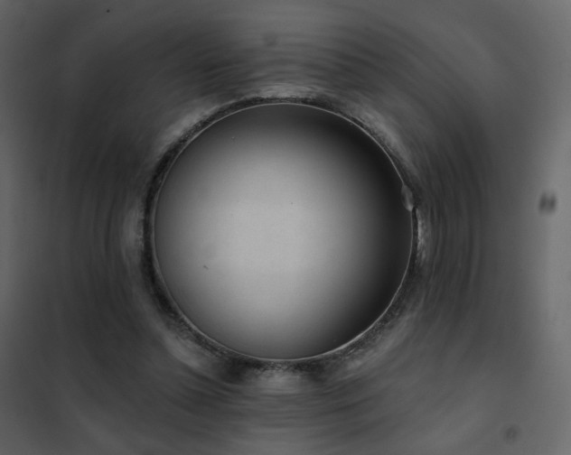 X0000102530348200808081457