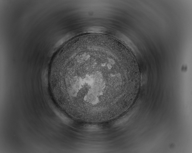 X0000102530349200808081457