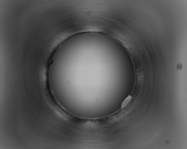 X0000102530350200808081457